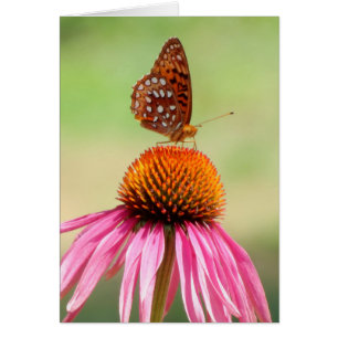 An der Spitze - Fritillary-Schmetterling