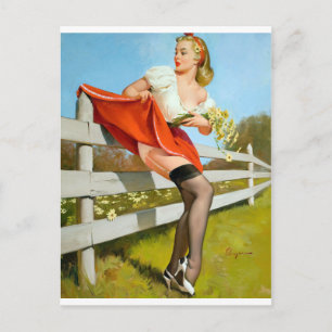 An einem Zaun hängengebliebenes Pin Up Bild Postkarte