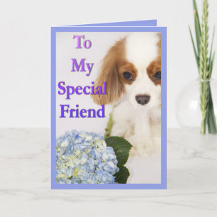 An meinen besonderen Freund Cavalier King Charles Karte