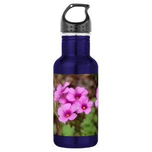 An meiner Türstufe Trinkflasche