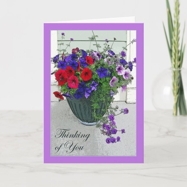 An Sie denken, Blumen-Anordnung für Petunien Karte (Vorderseite)