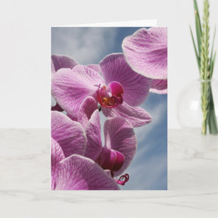 An Sie denken Gruß-Karte, schöne Orchidee Karte