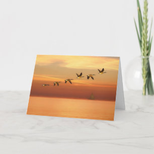 An Sie, Kanada-Gänse am Sonnenuntergang im Flug Karte