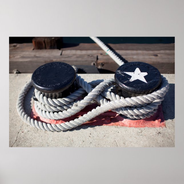 An zwei Pollen geklebter Seil Poster (Vorne)