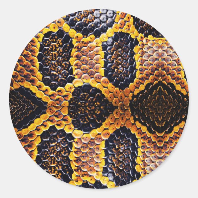 Anaconda Schlangenhaut Runder Aufkleber (Vorderseite)