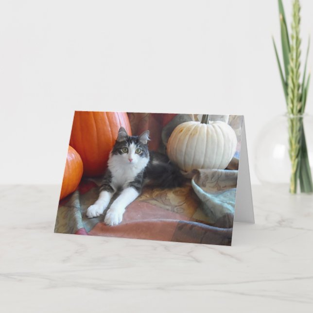 Anakin Two Legacy Cat & Pumpkins Fall Cat Card Karte (Vorderseite)