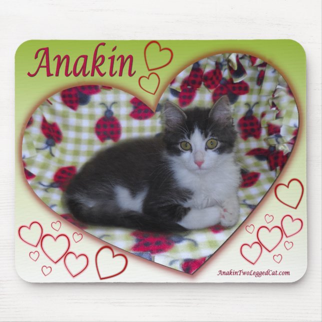 Anakin zwei Legende Katze Ladybug Herz KittyMousep Mousepad (Vorne)