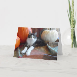 Anakin Zweibeinige Katze & Kürbis Herbst-Katze Kar Karte