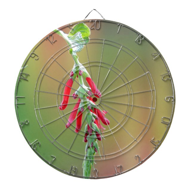 Ananapfelblüte Dartscheibe (vorne)