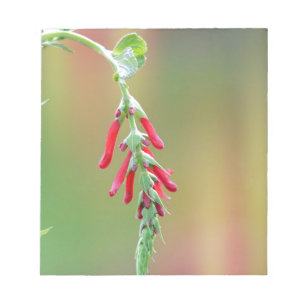 Ananapfelblüte Notizblock