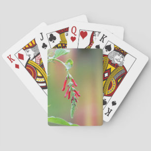 Ananapfelblüte Spielkarten