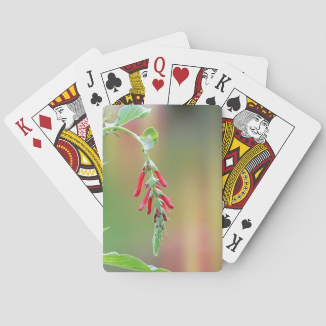 Ananapfelblüte Spielkarten (Rückseite)