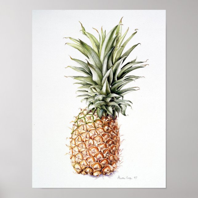 Ananas 1997 poster (Vorne)