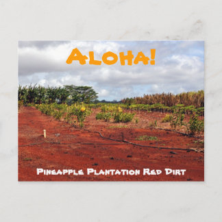Ananas-Ananas-Plantation Postkarte
