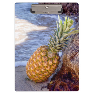 Ananas auf Felsen am Strand Klemmbrett