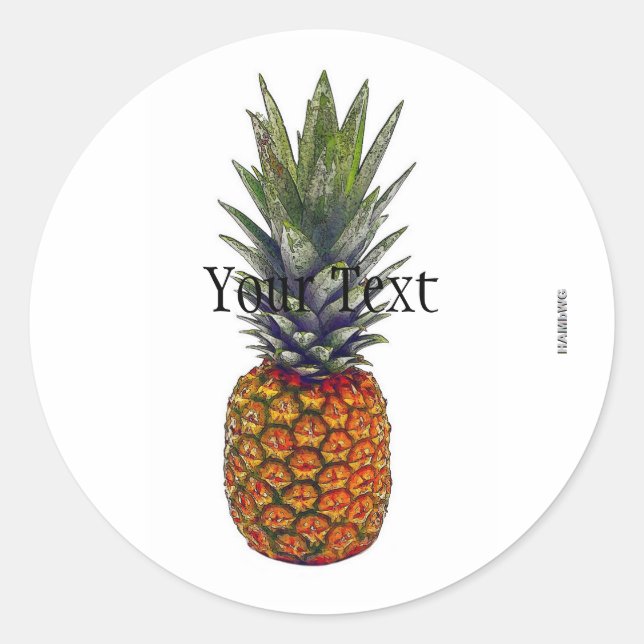 Ananas-Aufkleber für HAMbWG - mit Textfeld Runder Aufkleber (Vorderseite)