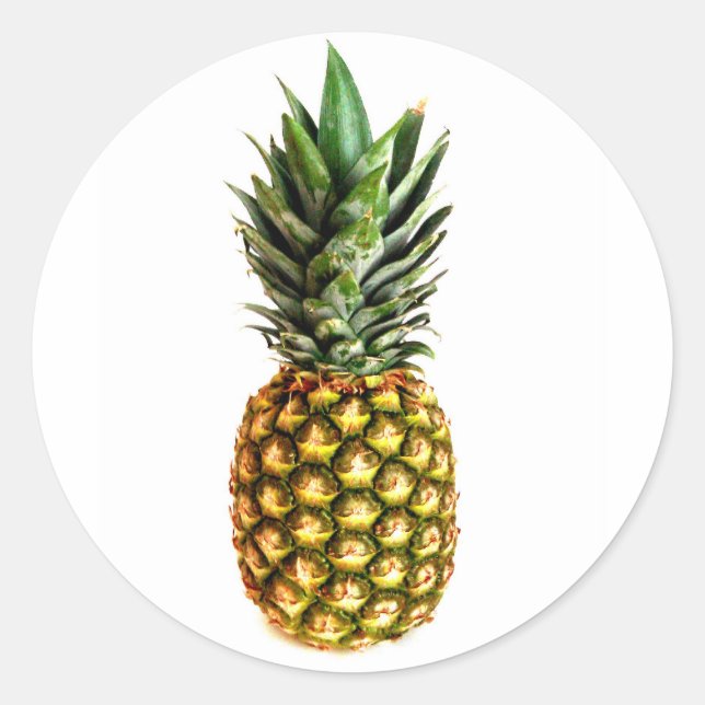 Ananas-Aufkleber Runder Aufkleber (Vorderseite)
