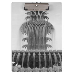 Ananas beruhigen klemmbrett