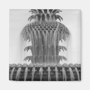 Ananas beruhigen magnet