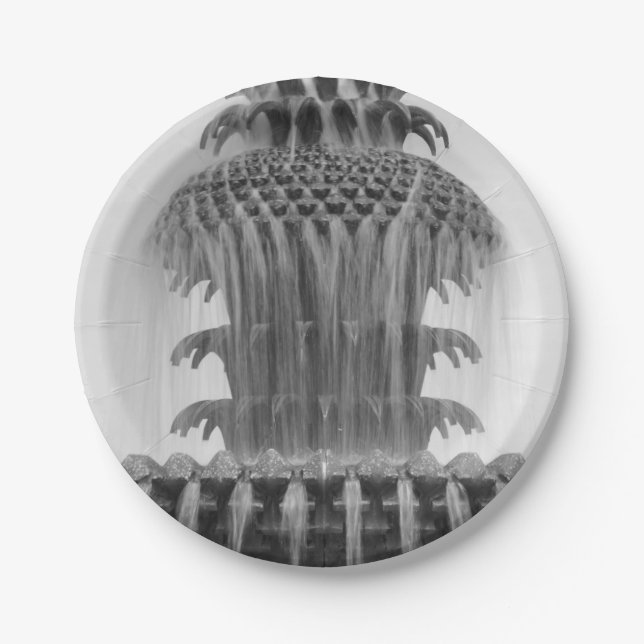 Ananas beruhigen pappteller (Vorderseite)