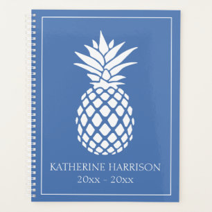 Ananas blanc préparatoire sur fond bleu