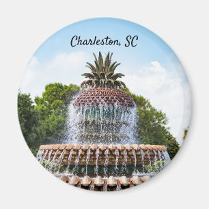 Ananas-Brunnen in Charleston, SC Magnet