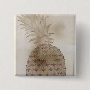 Ananas, Button