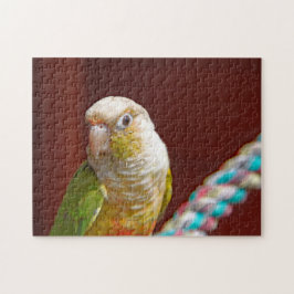 Ananas Conure Jigsaw Puzzle