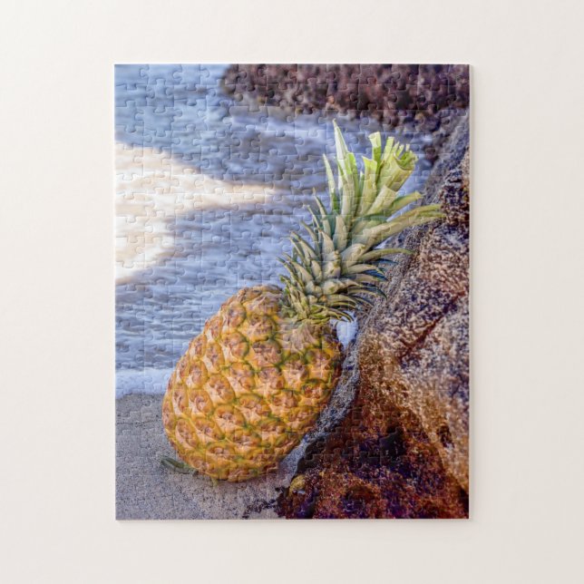 Ananas, die sich am Strand auf Felsen lehnen (Vertikal)