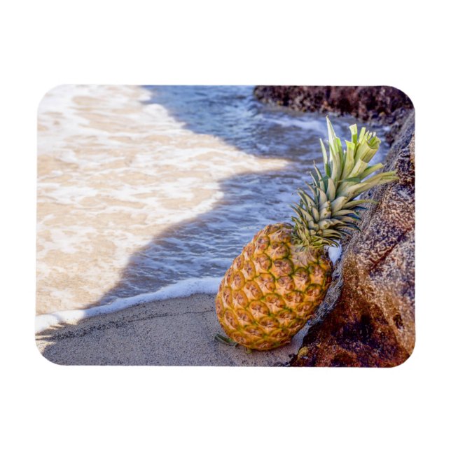 Ananas, die sich am Strand auf Felsen lehnen Magnet (Horizontal)