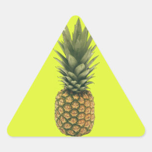 Ananas Dreieckiger Aufkleber