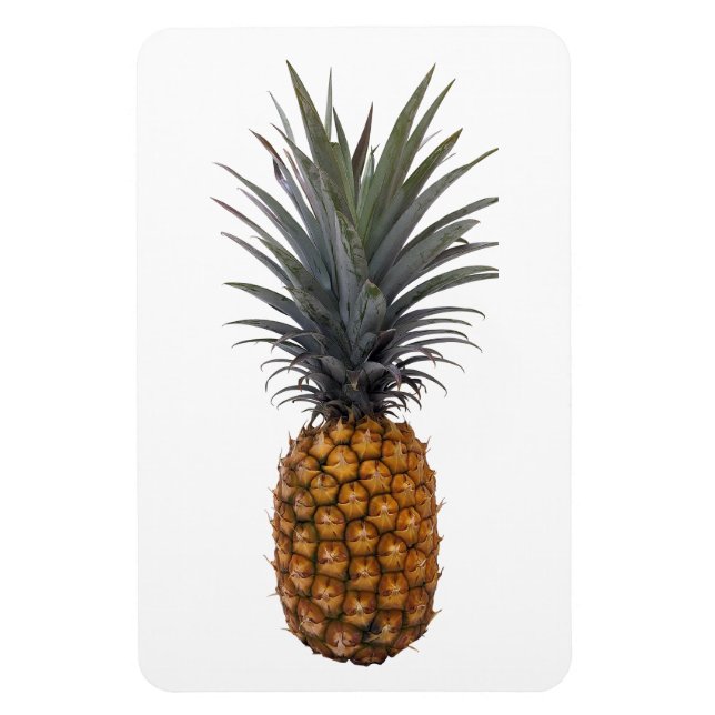 Ananas-Foto-Magnet Magnet (Vertikal)