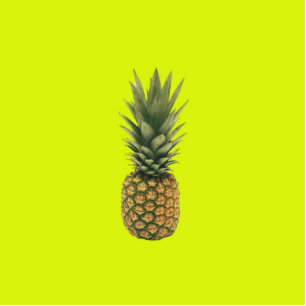 Ananas Freistehende Fotoskulptur