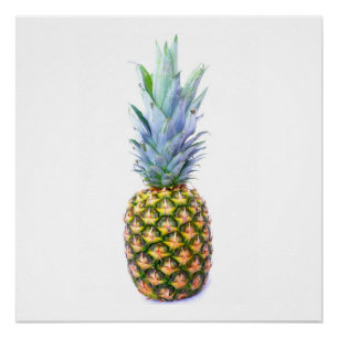 Ananas Frucht Strand Dessert Bunt Tropisch Poster