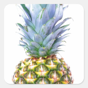 Ananas Frucht Strand Dessert Bunt Tropisch Quadratischer Aufkleber