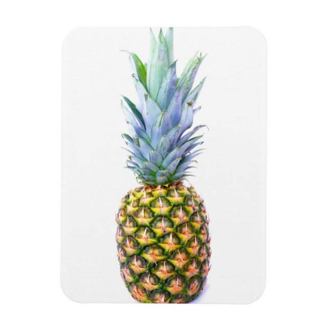 Ananas Fruit Beach Dessert Colorful Tropical Magnet (Vertikal)