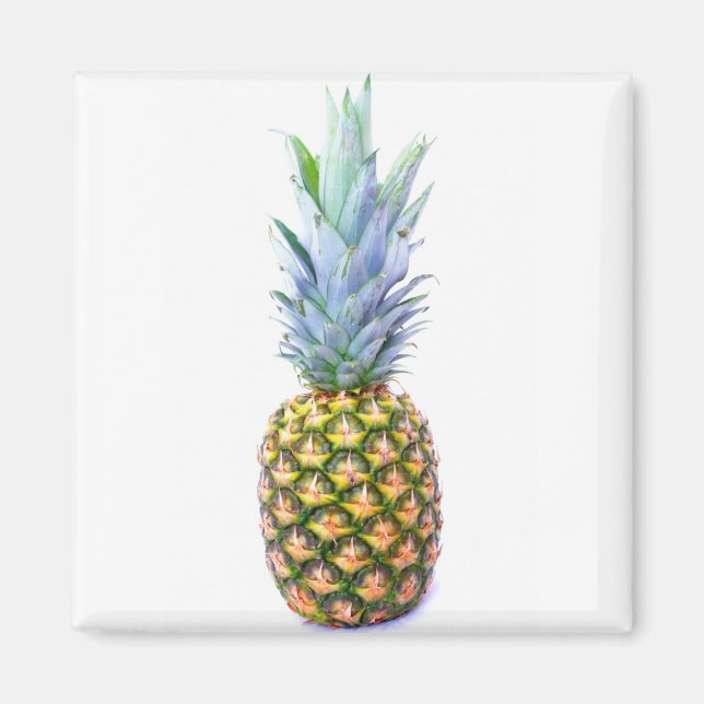 Ananas Fruit Beach Dessert Colorful Tropical Magnet (Vorne)