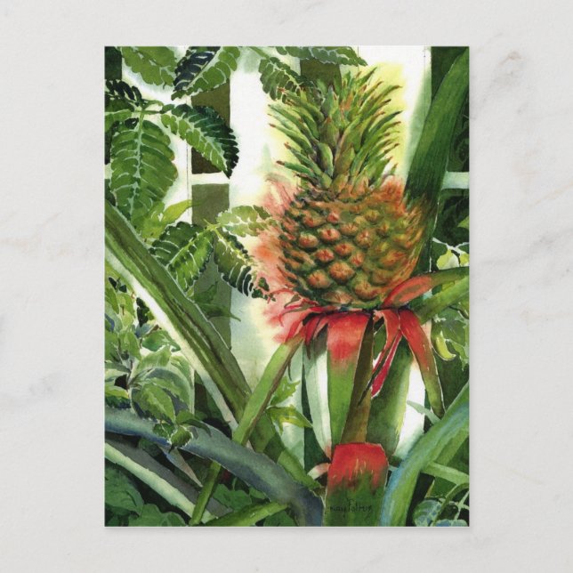 Ananas im Dschungel Postkarte (Vorderseite)