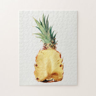 Ananas in halber Fruchtwasser-Aquarellmalerei gesc