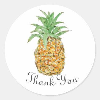 Ananas, klassischer Rundaufkleber Runder Aufkleber