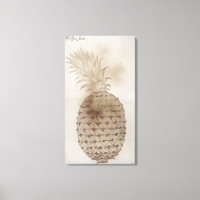 Ananas, Leinwanddruck (Vorderseite)