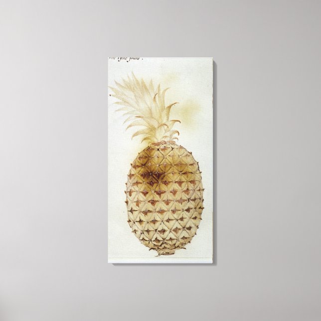 Ananas Leinwanddruck (Vorderseite)
