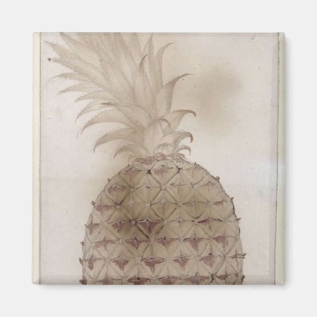 Ananas, Magnet (Vorne)
