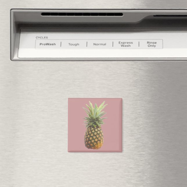 Ananas Magnet (In Situ (Geschirrspüler))