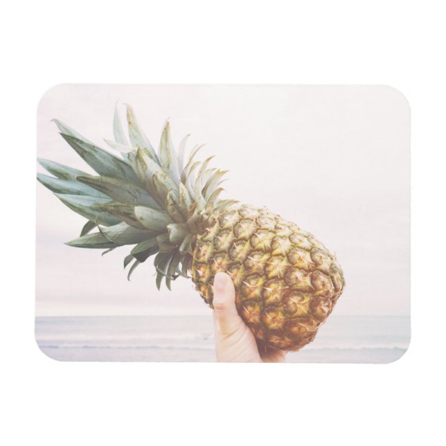 Ananas Magnet (Horizontal)