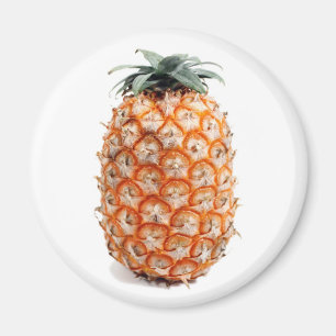 Ananas-Magnet Magnet