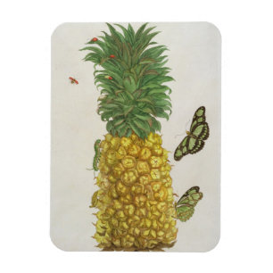 Ananas mit Raupe und Schmetterlingen (Hand-c Magnet