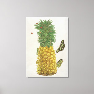 Ananas mit Raupe und Schmetterlingen (handc Leinwanddruck