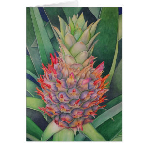 Ananas ornemental