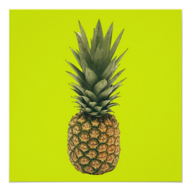 Ananas Poster (Vorderseite)